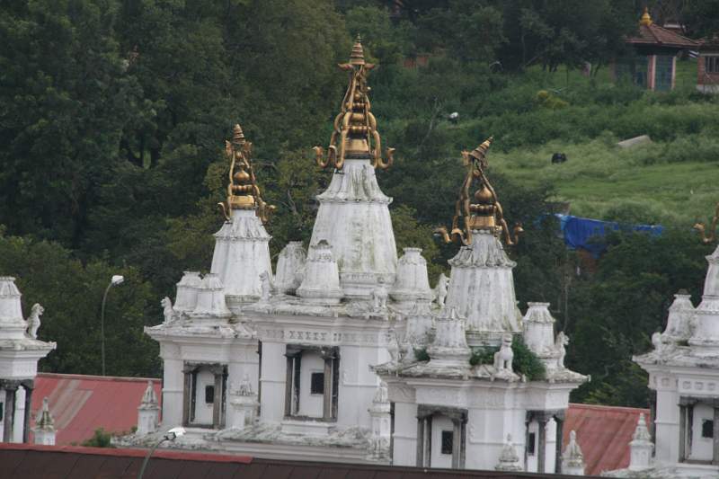 India & Nepal 2011 - 0269